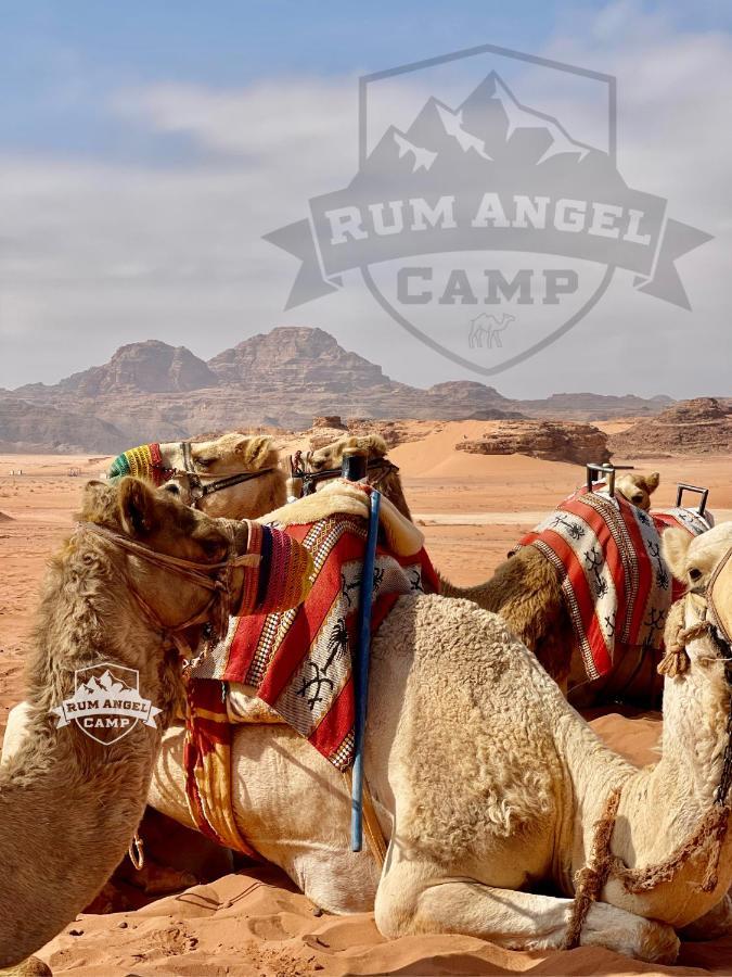 Rum Angel Camp Вади Рум Екстериор снимка